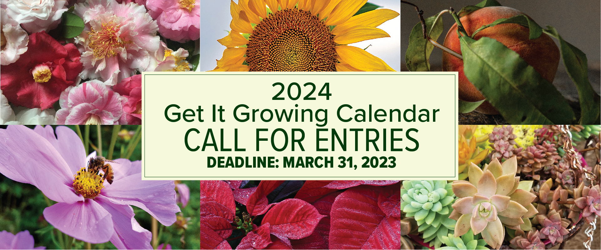 Calendar cover page.